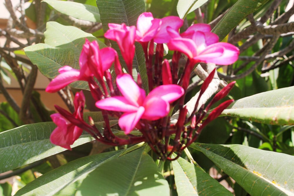 Изображение 1496.jpg