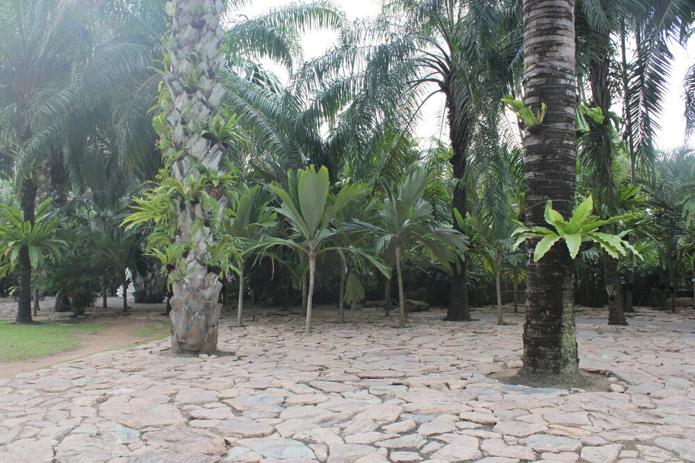 Изображение 1800.jpg