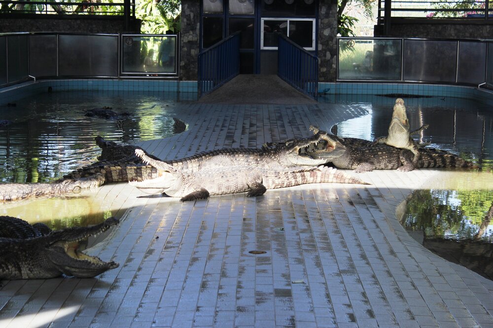 Изображение 586.jpg