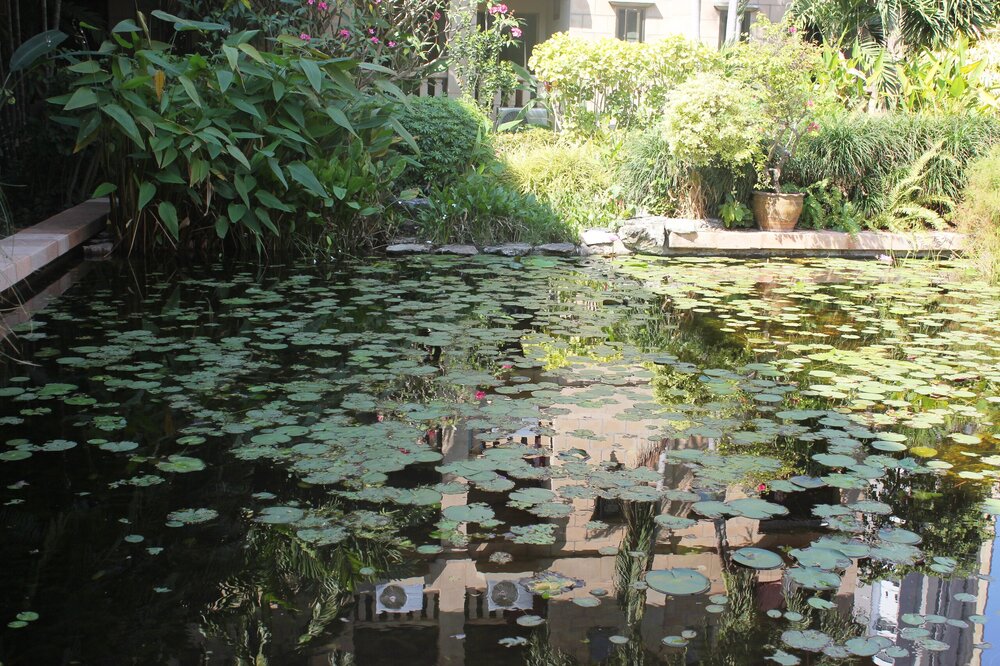 Изображение 1507.jpg