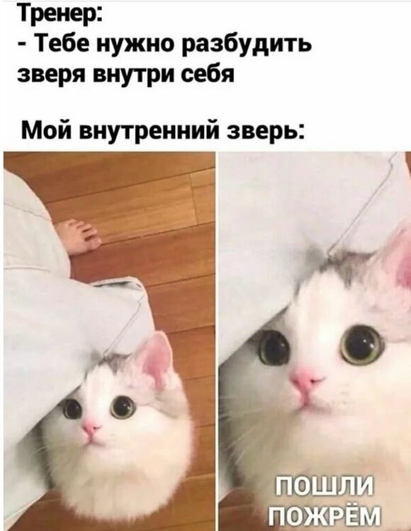 апошли пожрет.jpg