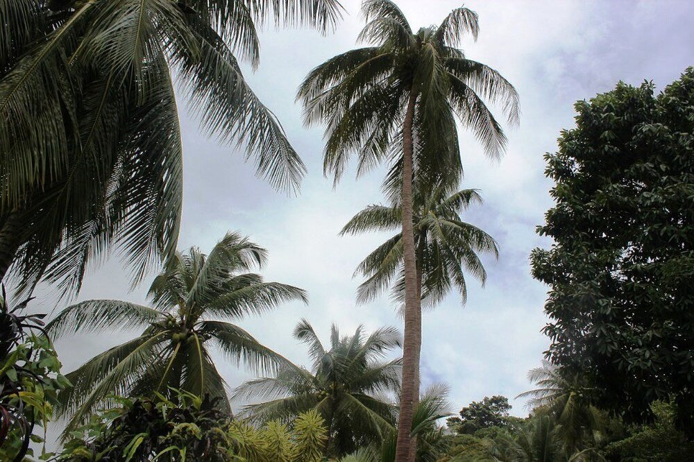 Изображение 1988.jpg