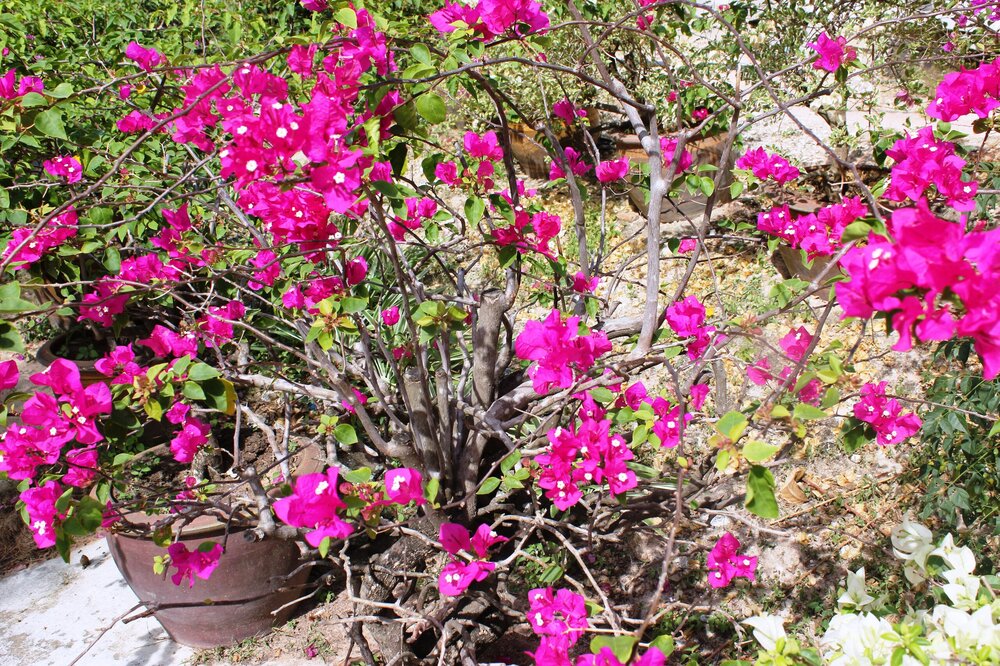 Изображение 738.jpg