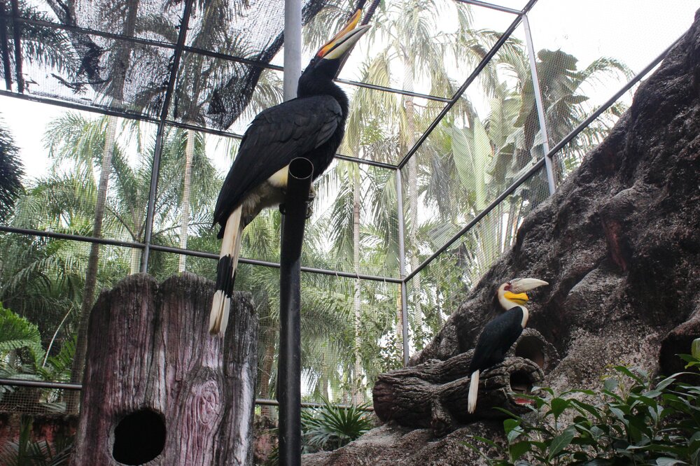 Изображение 1757.jpg