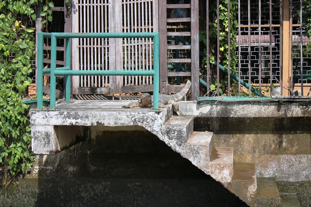 Изображение 373.jpg