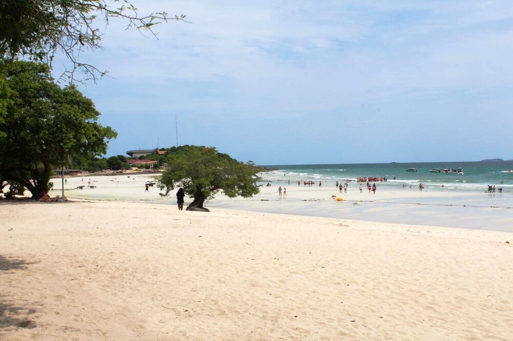 Изображение 1354.jpg