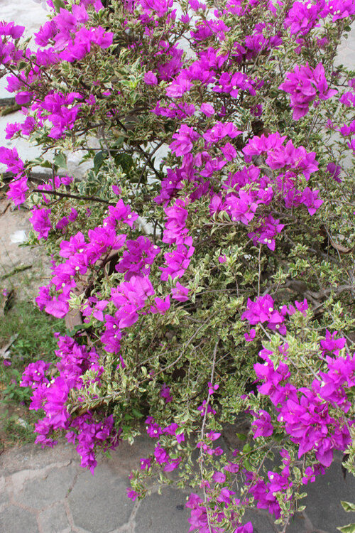 i - 2020-05-05T194528.728.jpg