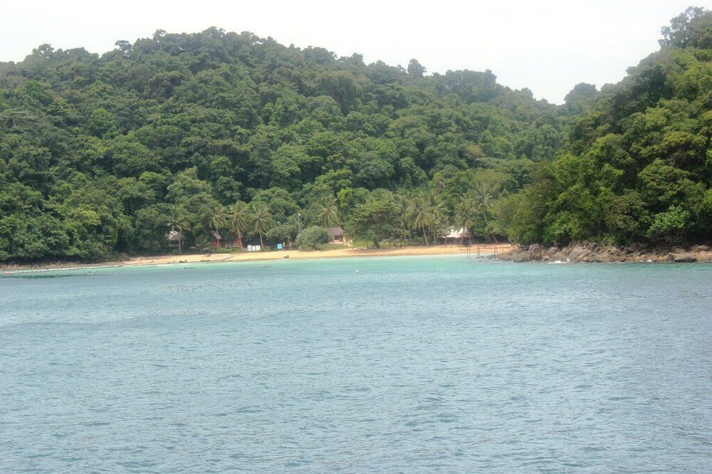 Изображение 2321.jpg