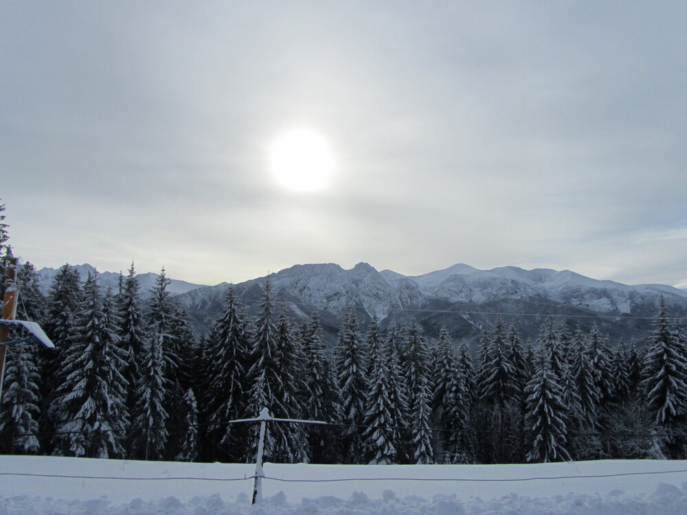 IMG_3699 - копия.jpg