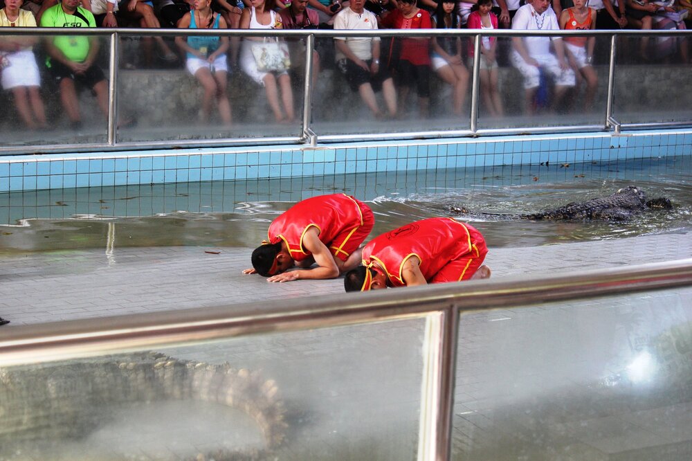 Изображение 592.jpg