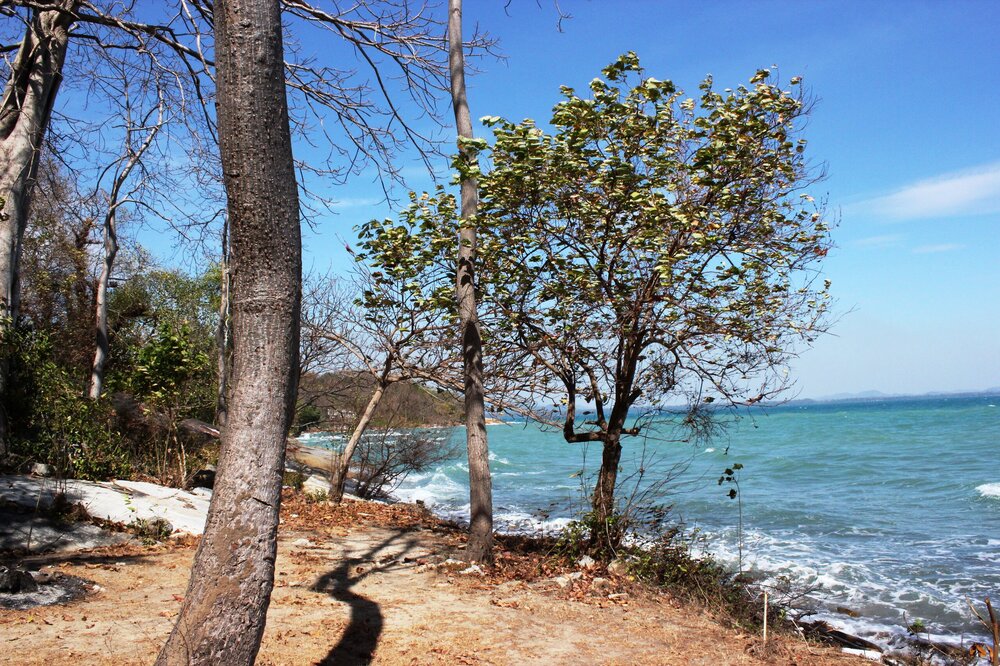 Изображение 2036.jpg