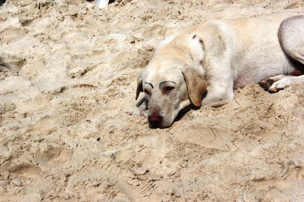 Изображение 1388.jpg