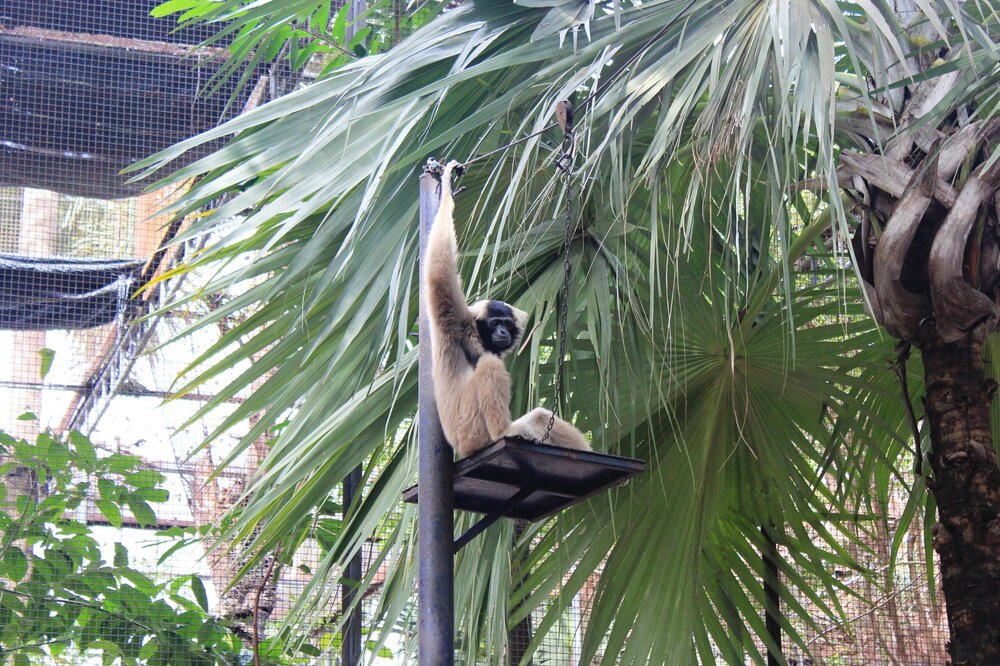 Изображение 1688.jpg