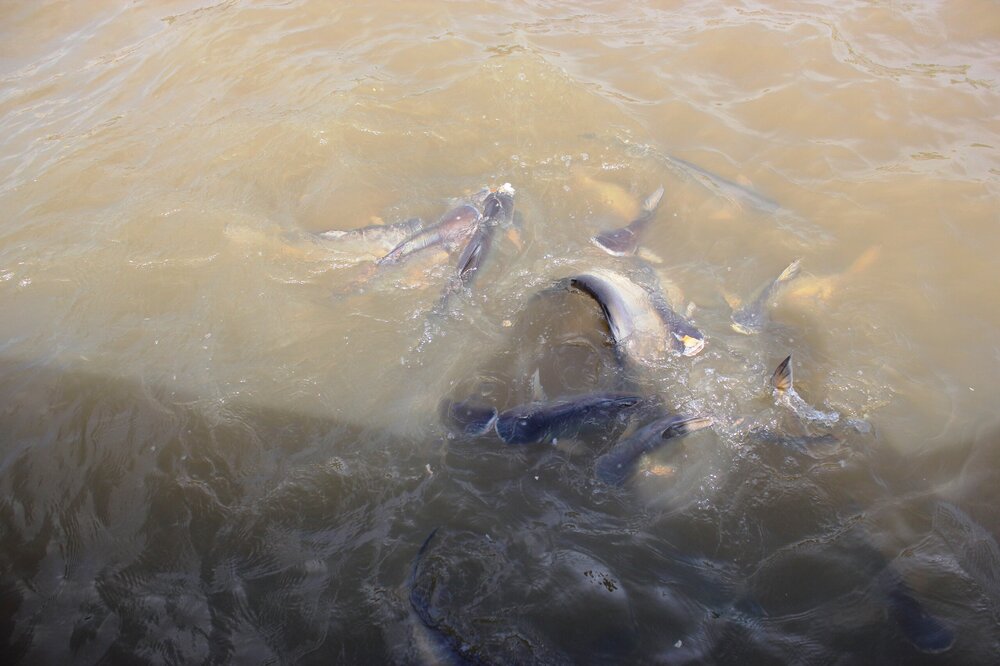 Изображение 367.jpg