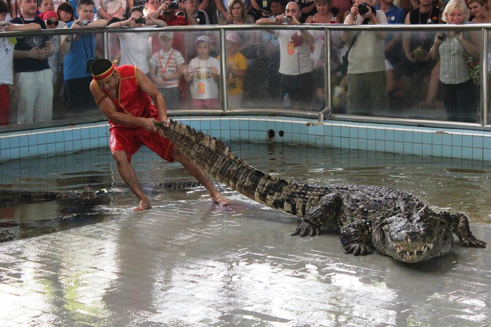 Изображение 612.jpg