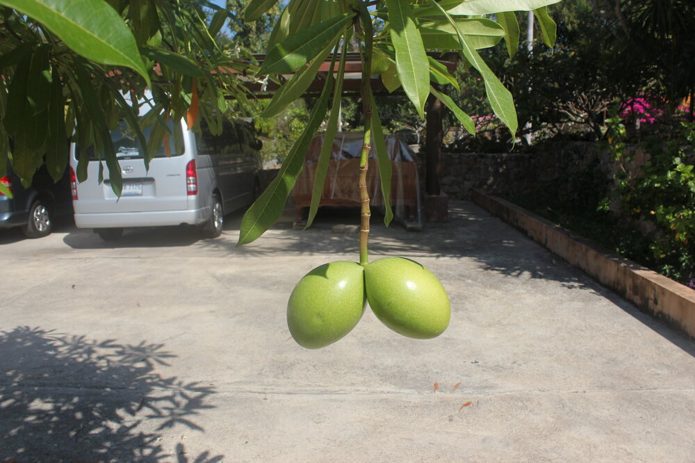 Изображение 1495.jpg