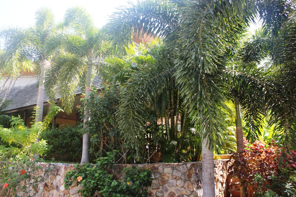 Изображение 1491.jpg