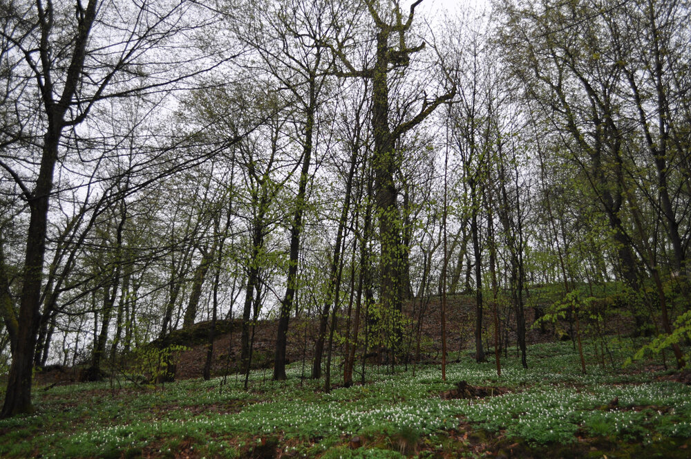 вояж 2013  (3965).jpg