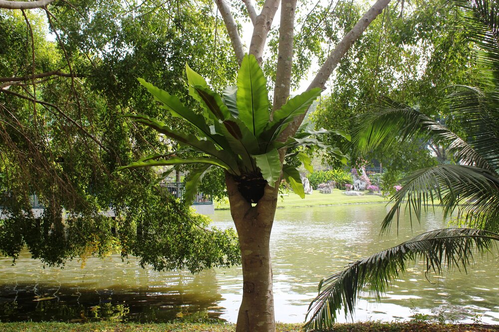 Изображение 754.jpg