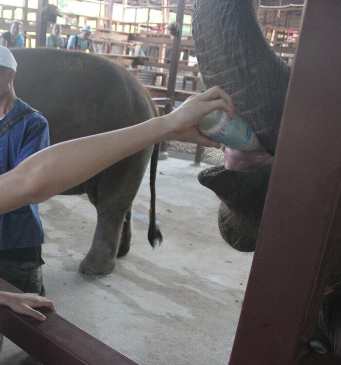 Изображение 1104.jpg