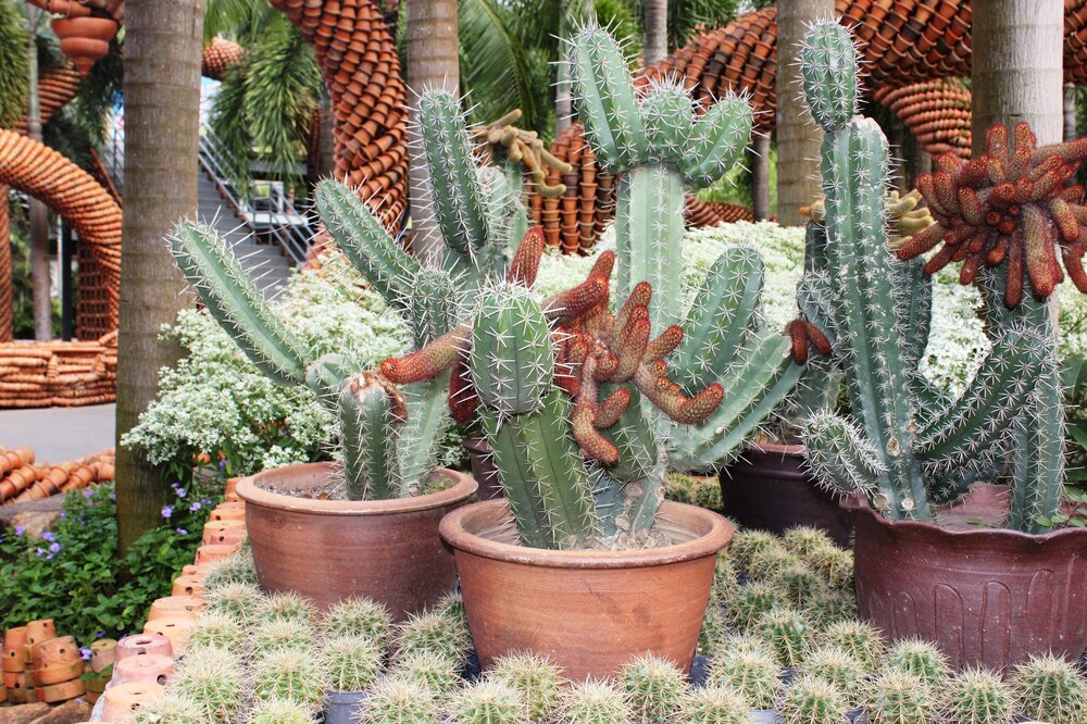 Изображение 1930.jpg