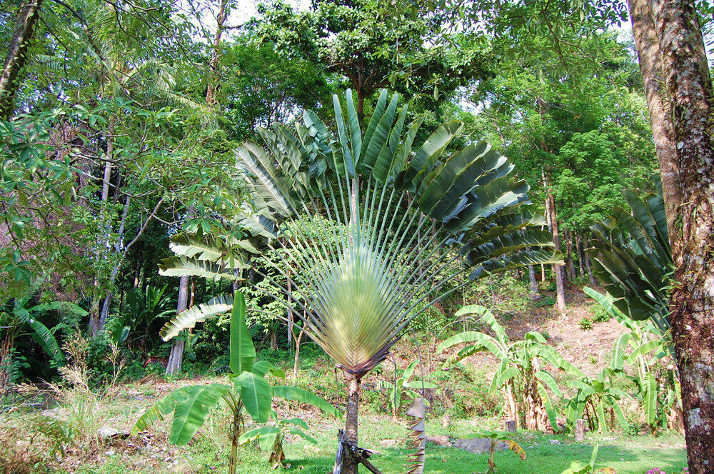 Изображение 1974.jpg