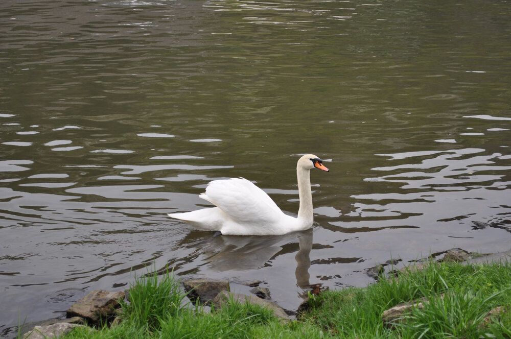 вояж 2013  (3704).jpg