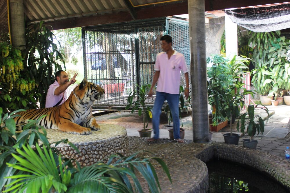 Изображение 769.jpg