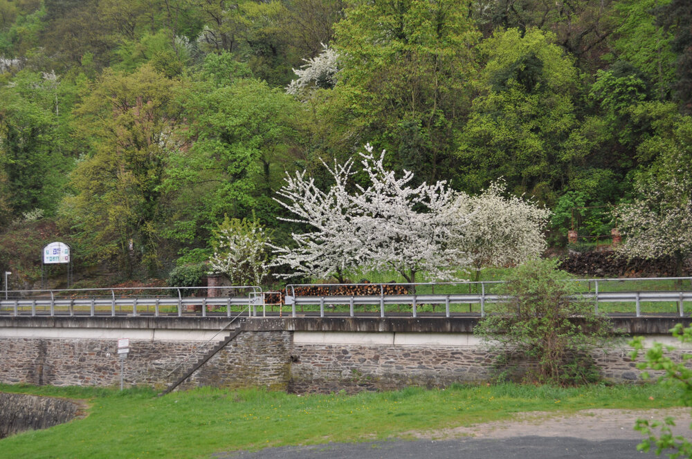 вояж 2013  (3855).jpg