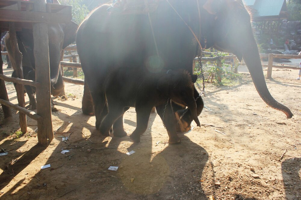 Изображение 1072.jpg