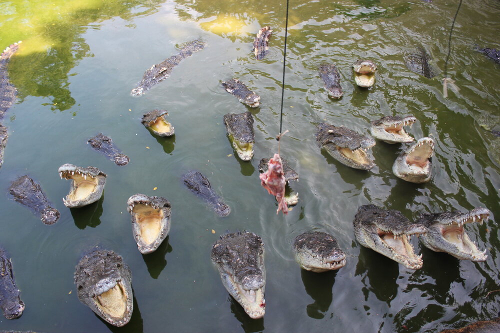 Изображение 543.jpg