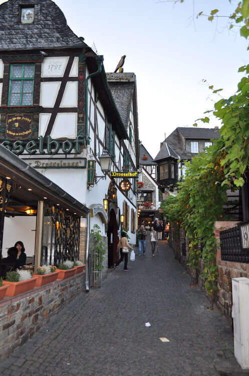 викинги (1275).jpg