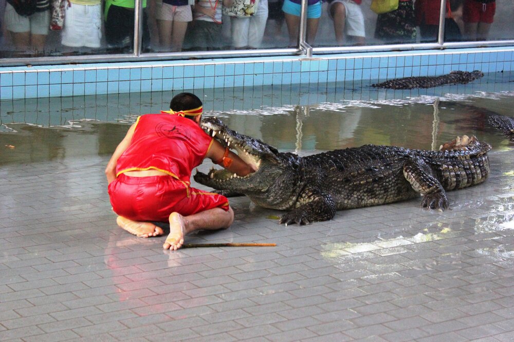 Изображение 672.jpg