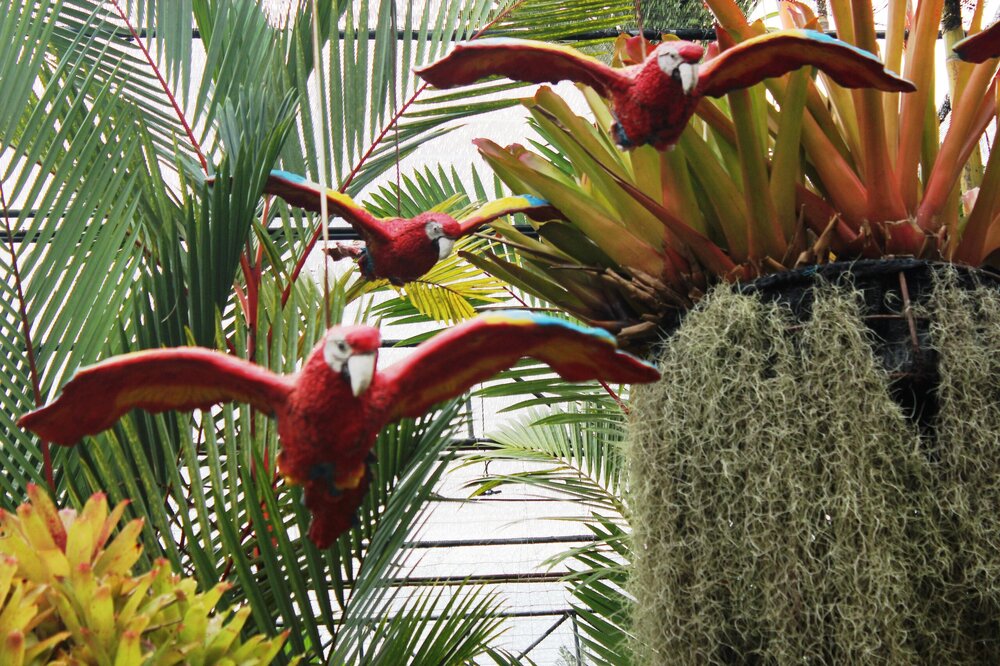 Изображение 1877.jpg