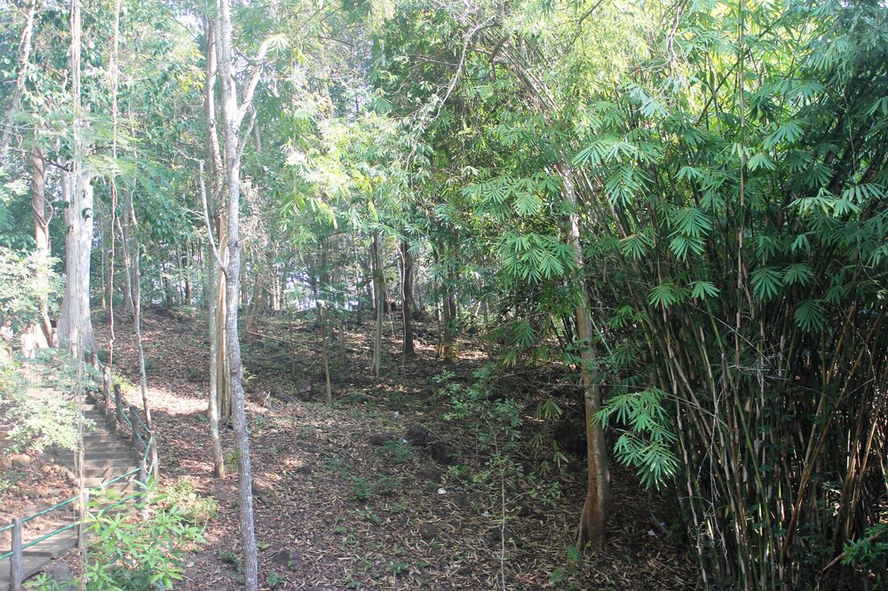 Изображение 1200.jpg