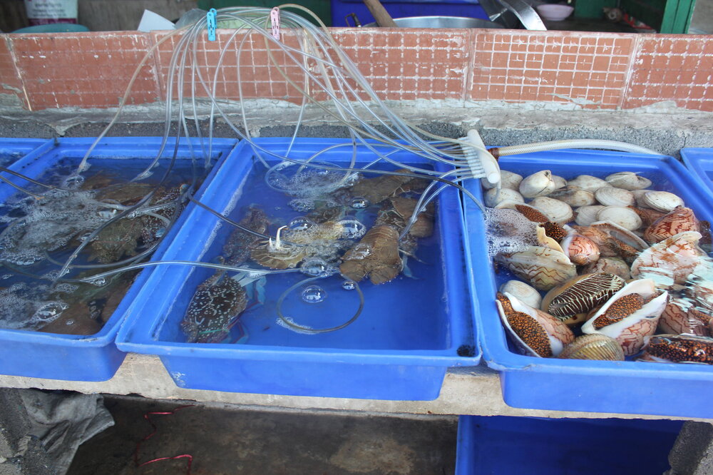 Изображение 1525.jpg