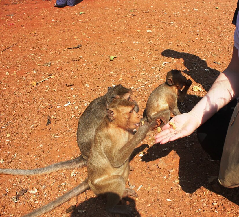 Изображение 1032.jpg