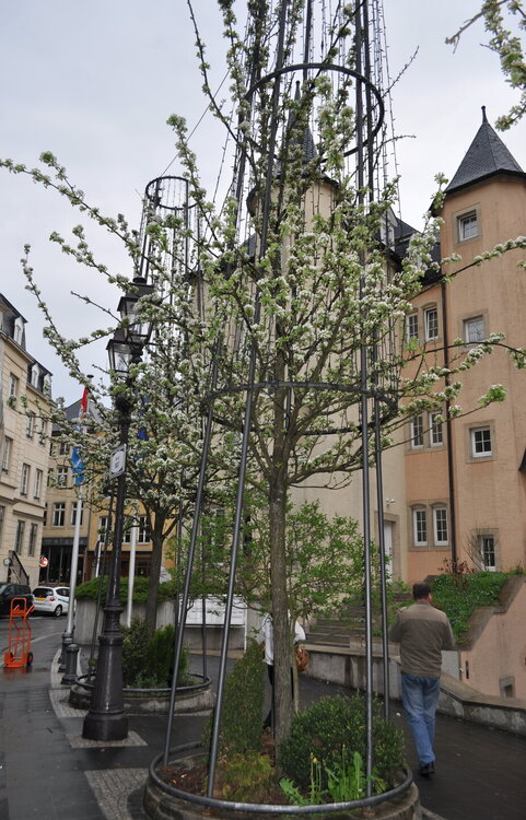 вояж 2013  (3588).1.jpg