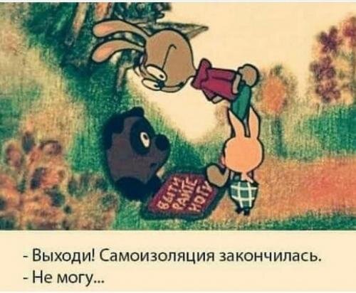 пятачек.jpg