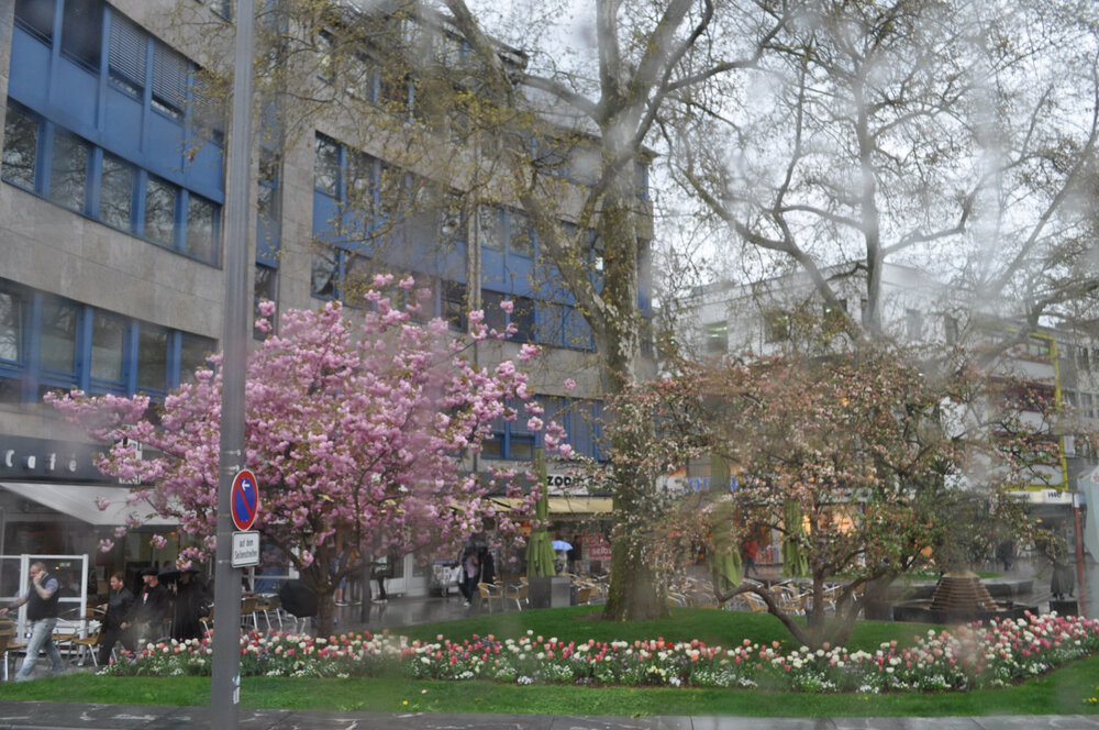 вояж 2013  (3769).jpg