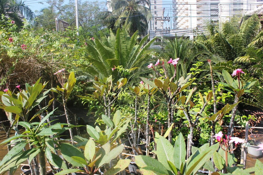 Изображение 1472.jpg