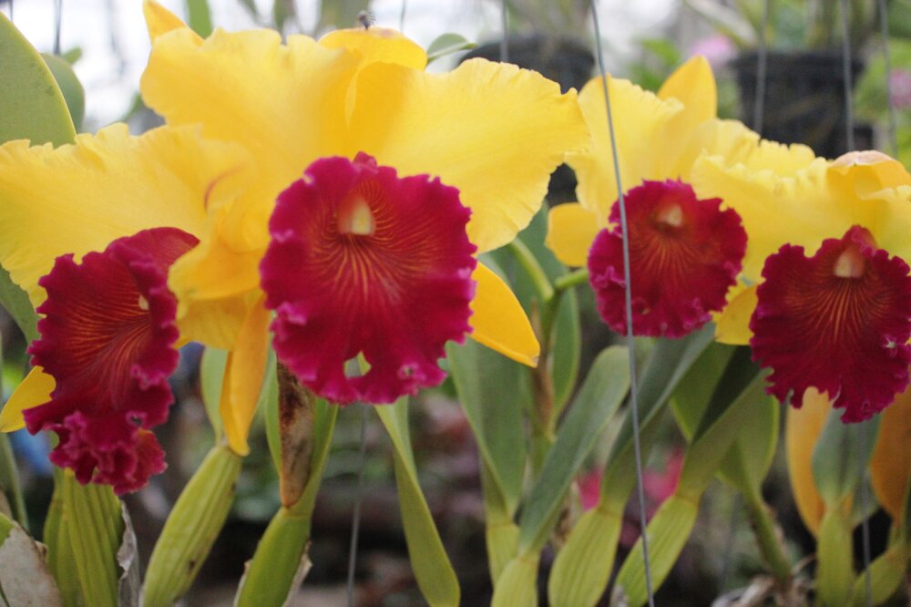 Изображение 1907.jpg