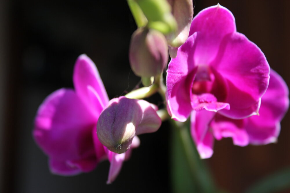 Изображение 2095.jpg