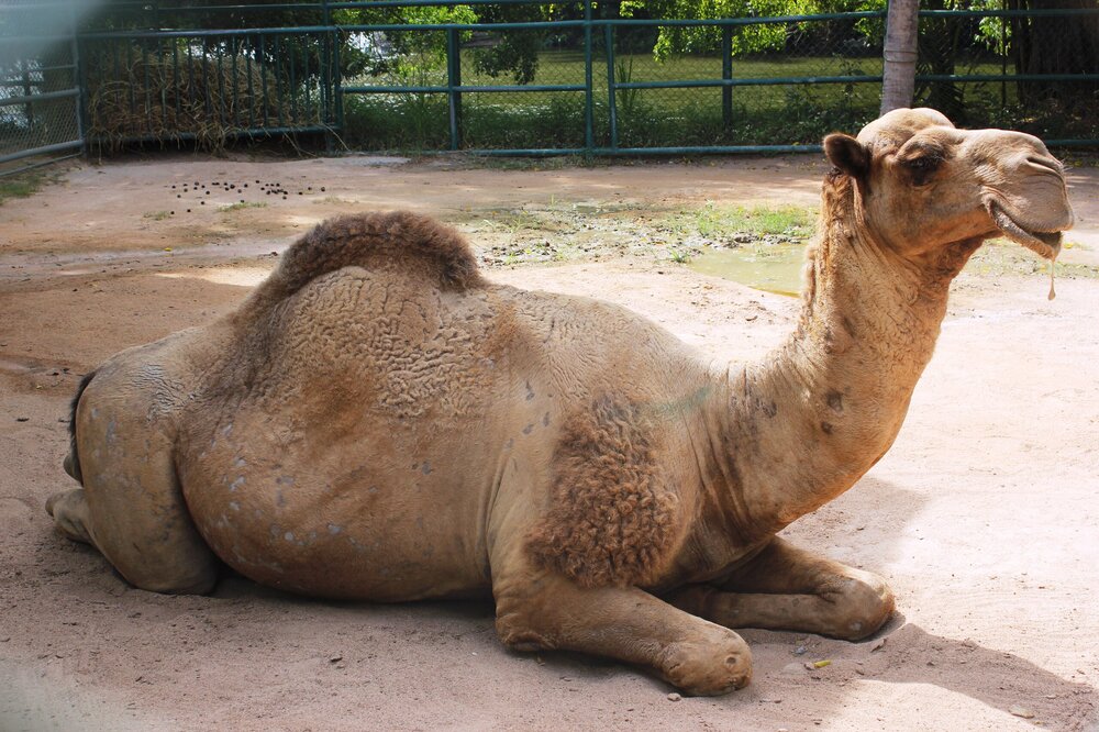 Изображение 752.jpg