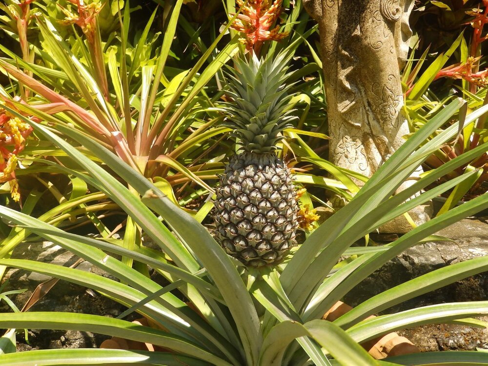 Изображение 2356.jpg