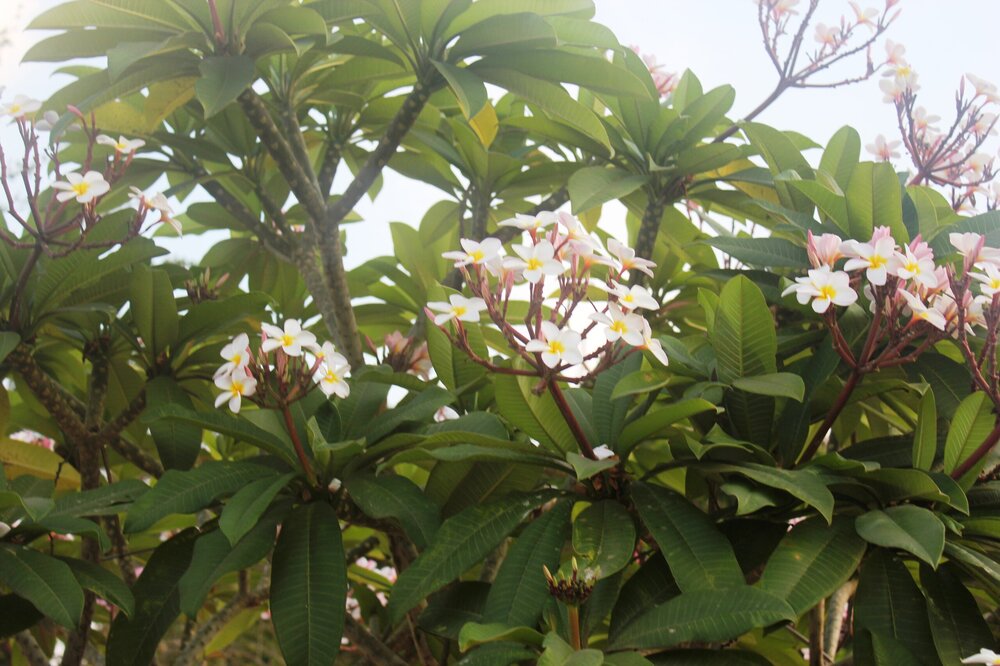 Изображение 1439.jpg