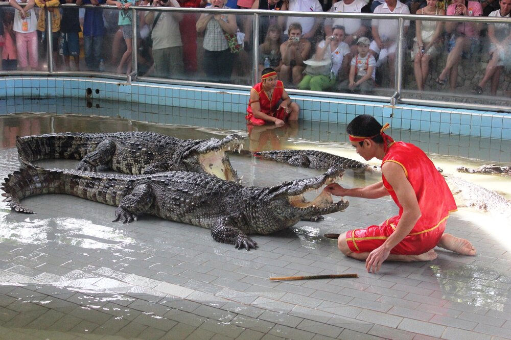 Изображение 648.jpg