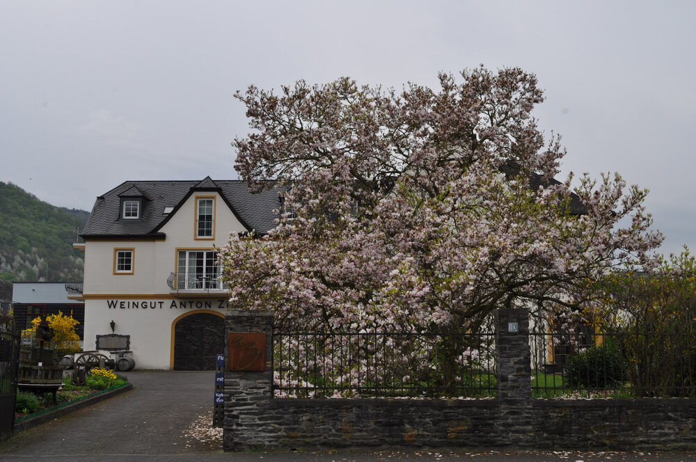 вояж 2013  (3723).jpg