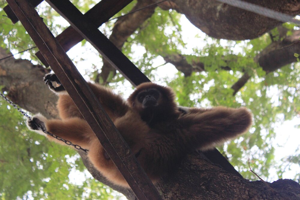 Изображение 1689.jpg