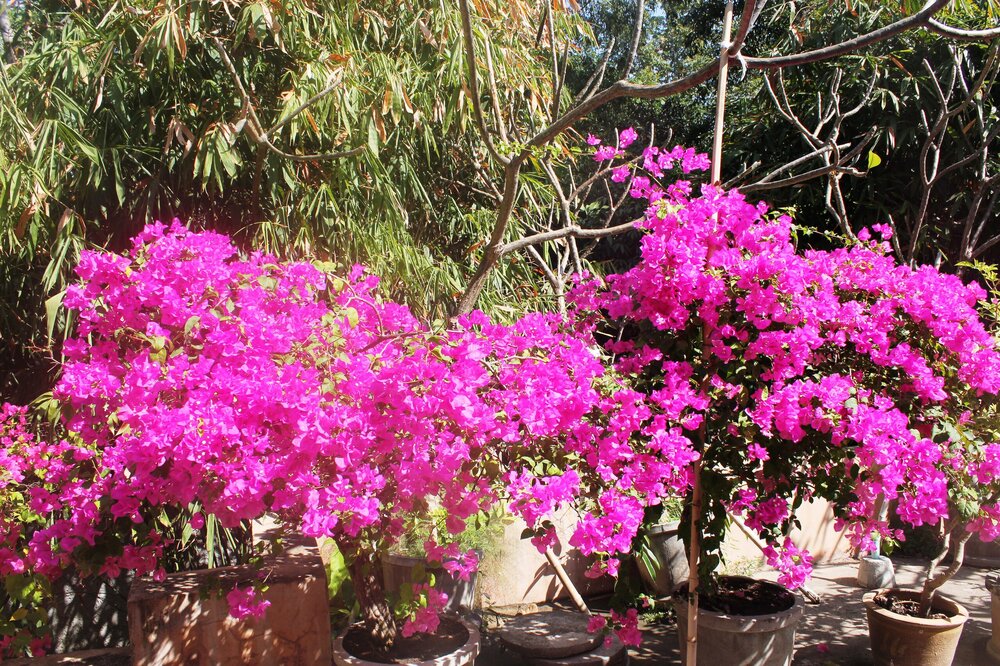 Изображение 1483.jpg